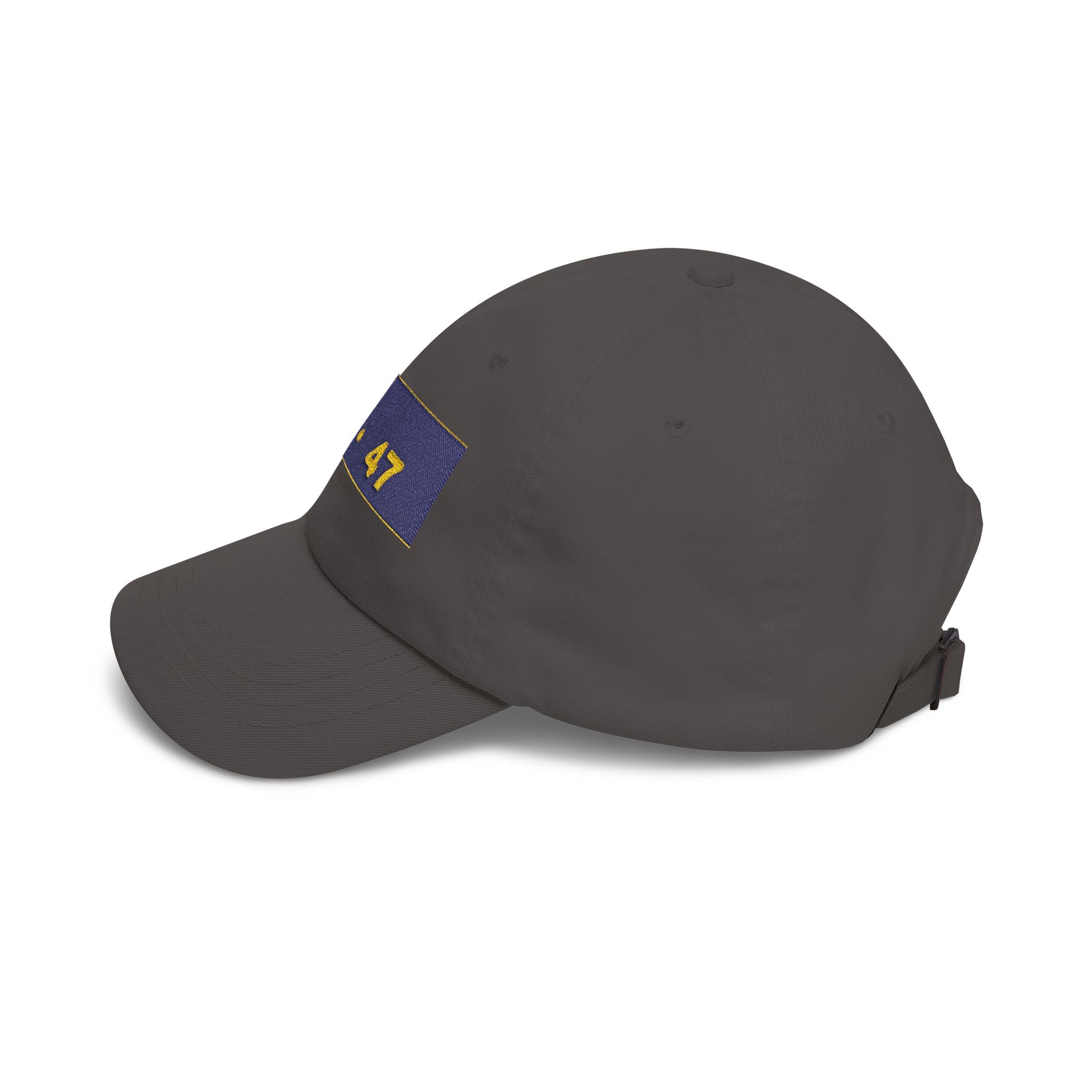 45  •  47 — Patriot Dad Hat