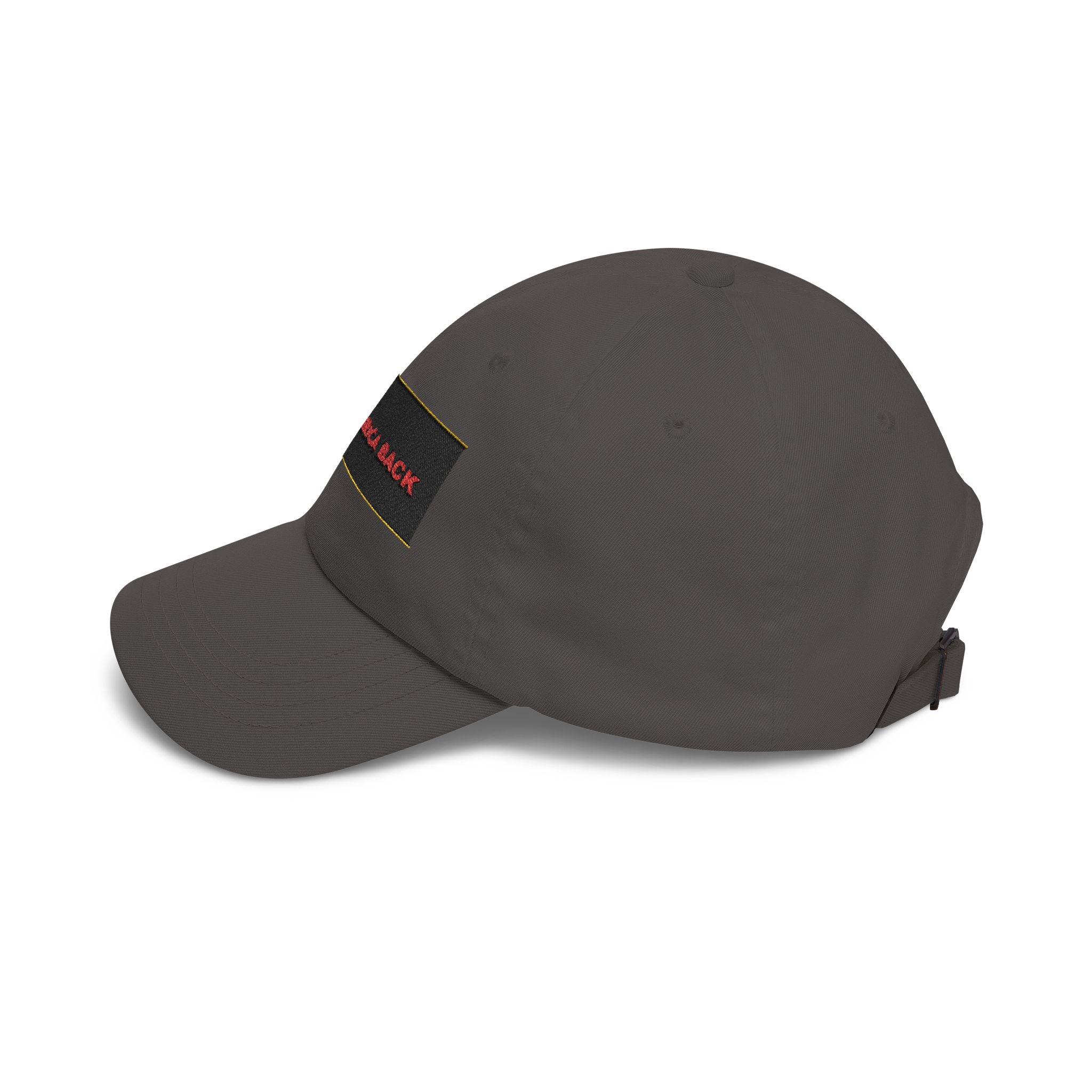 TAKE AMERICA BACK — Patriot Dad Hat