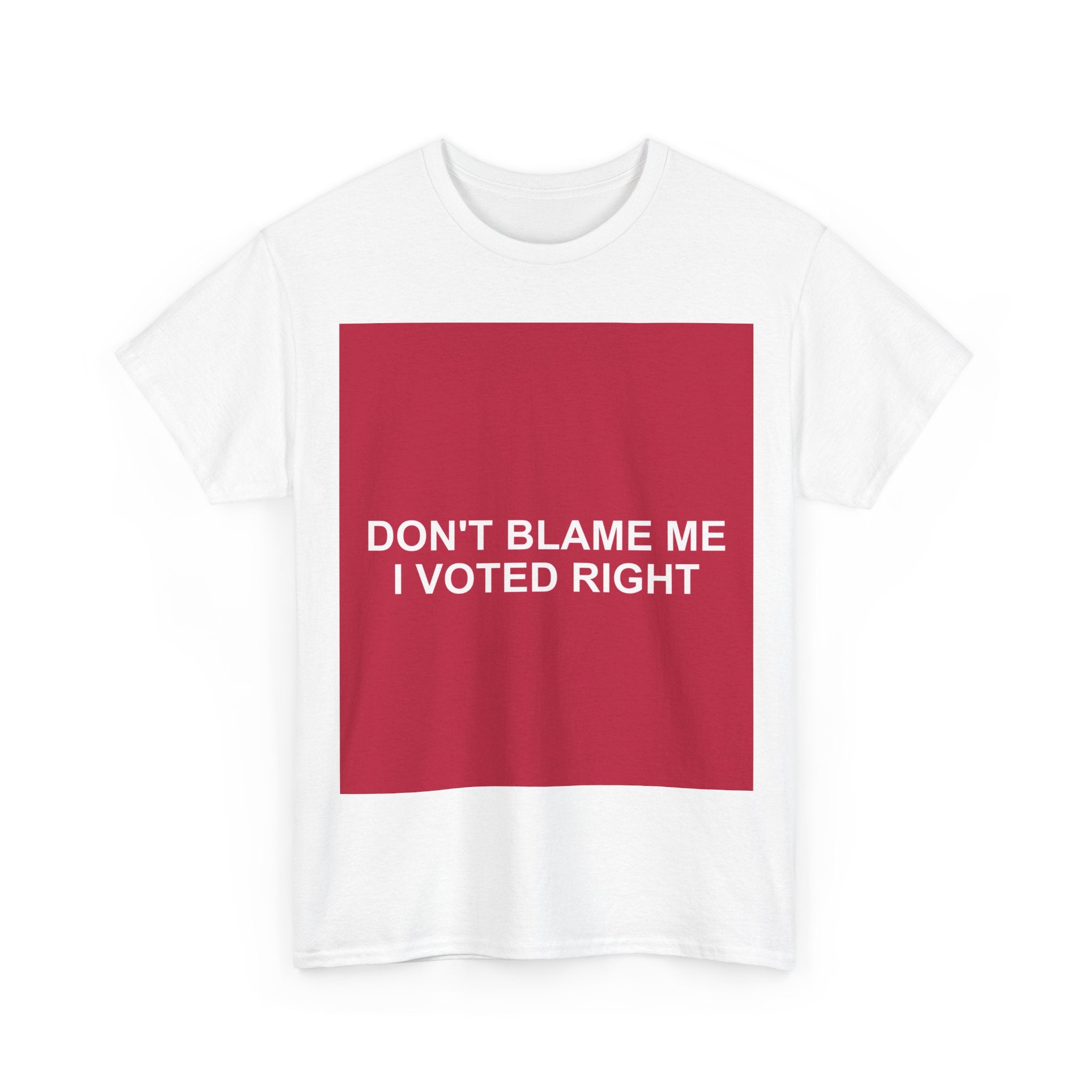 DON'T BLAME ME I VOTED RIGHT — Patriot T-Shirt