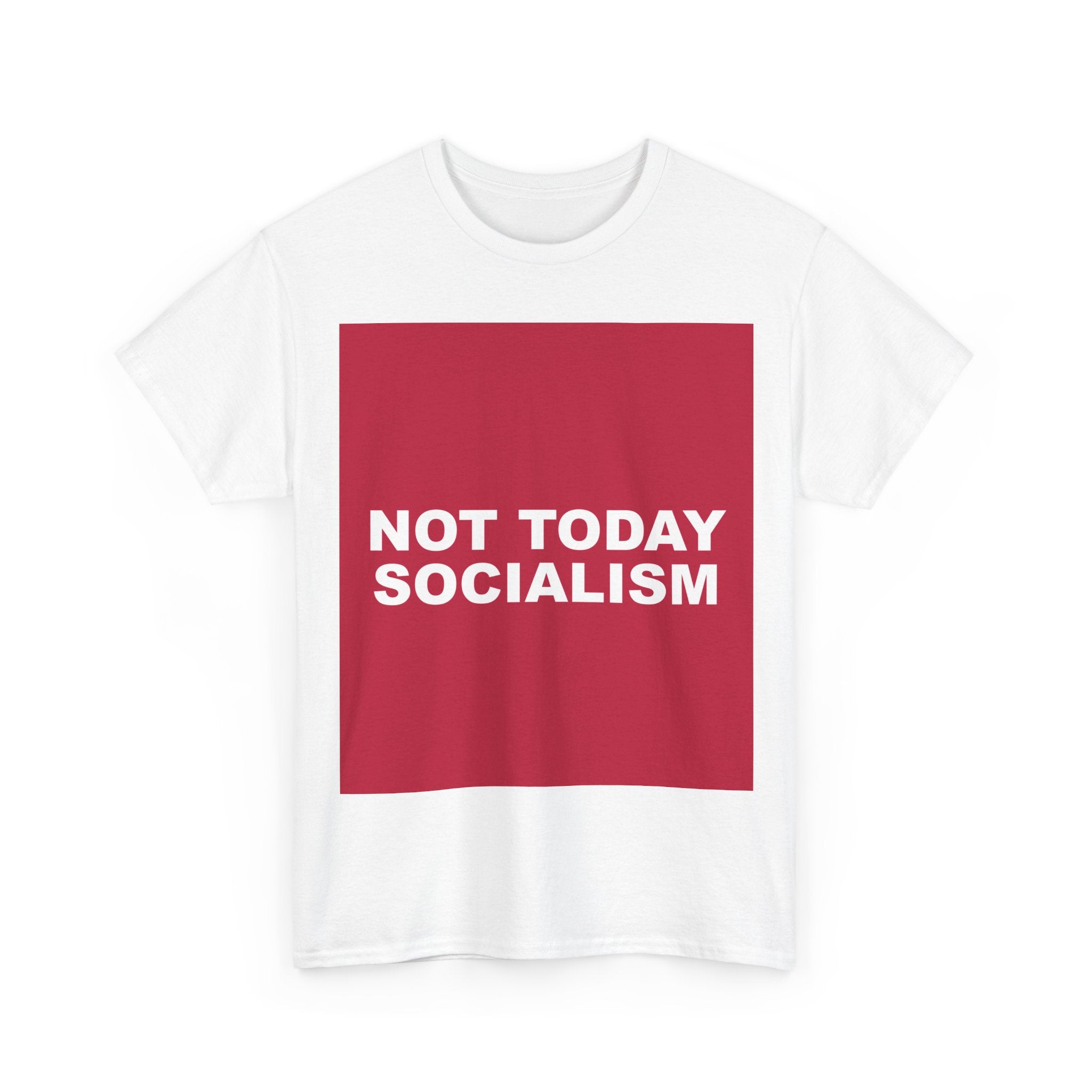 NOT TODAY SOCIALISM — Patriot T-Shirt
