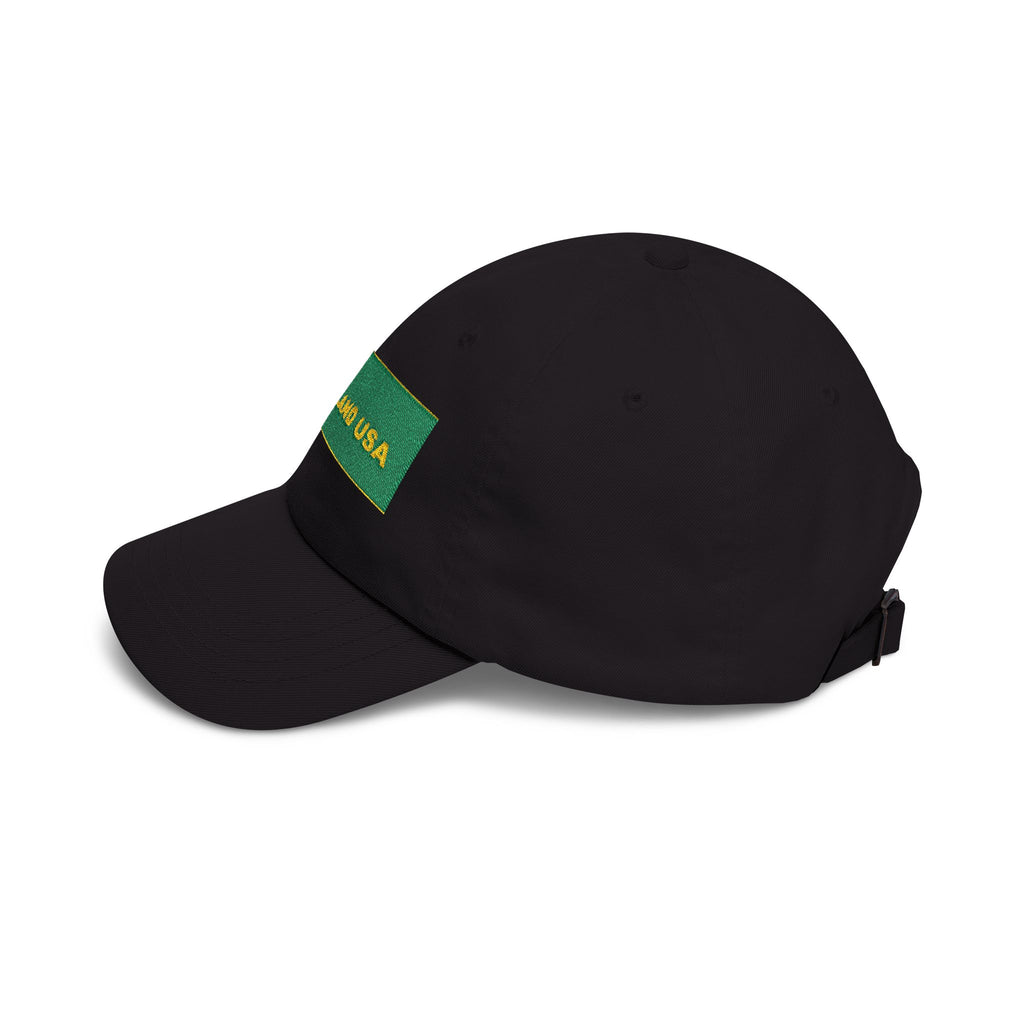 HEARTLAND USA — Patriot Dad Hat