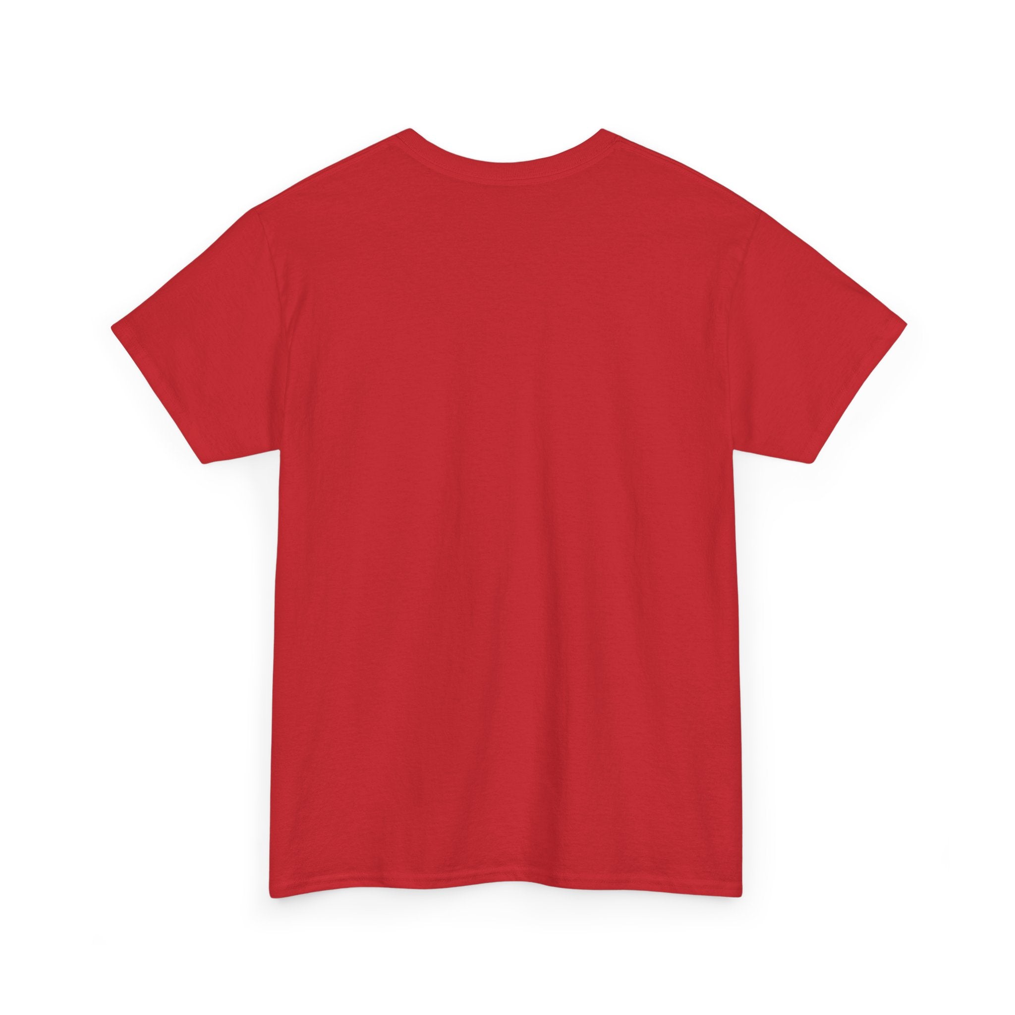 SAVE AMERICA — Patriot T-Shirt