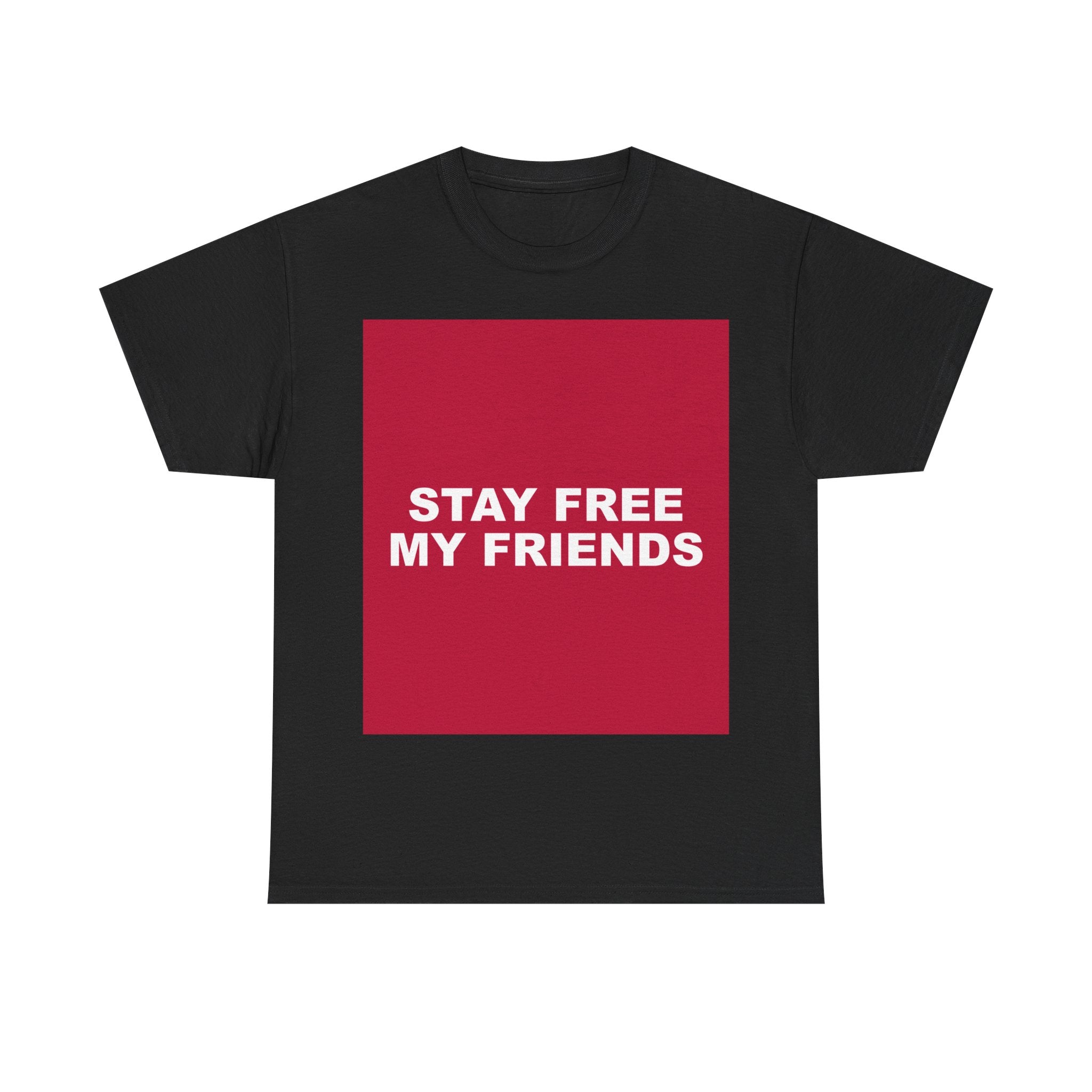 STAY FREE MY FRIENDS — Patriot T-Shirt