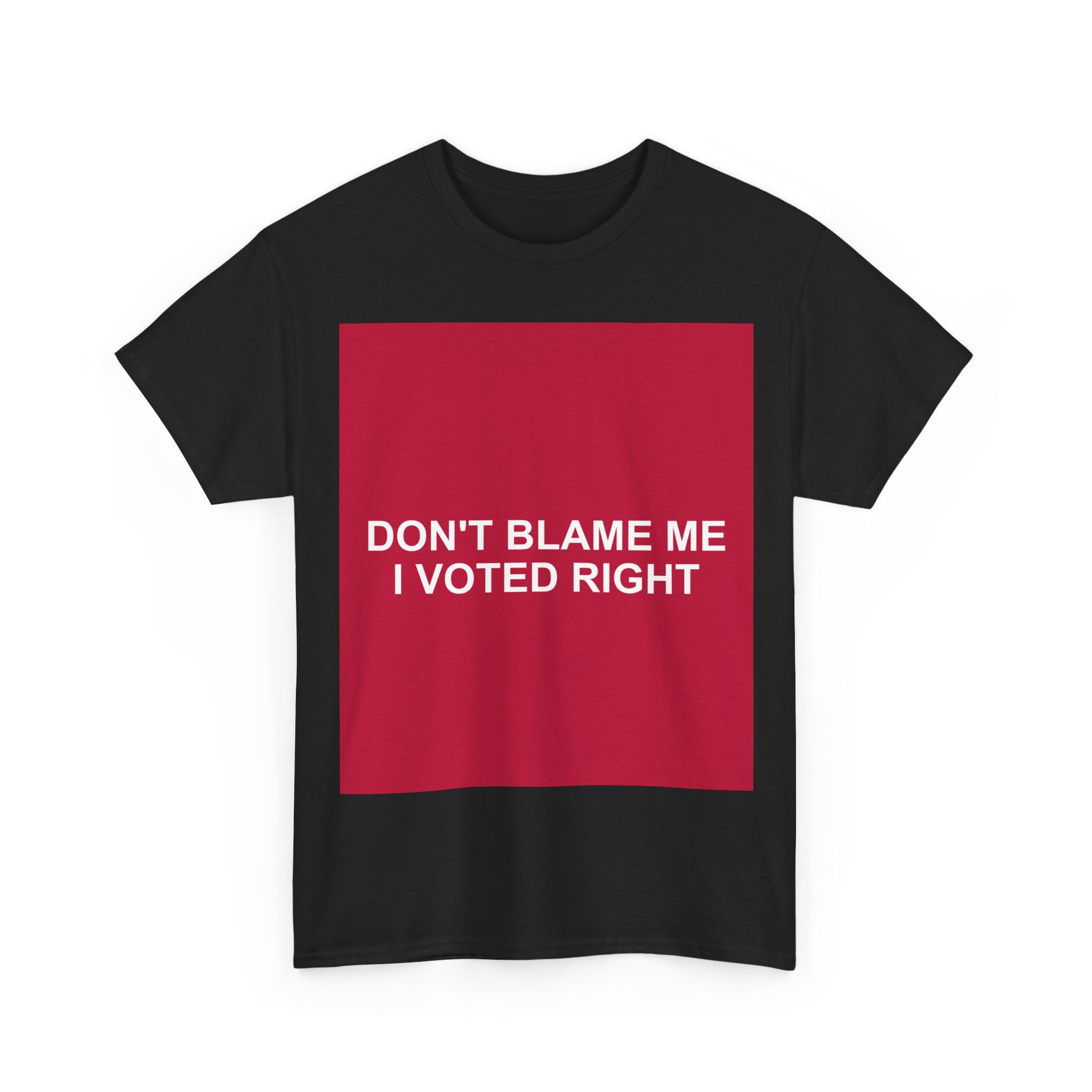 DON'T BLAME ME I VOTED RIGHT — Patriot T-Shirt