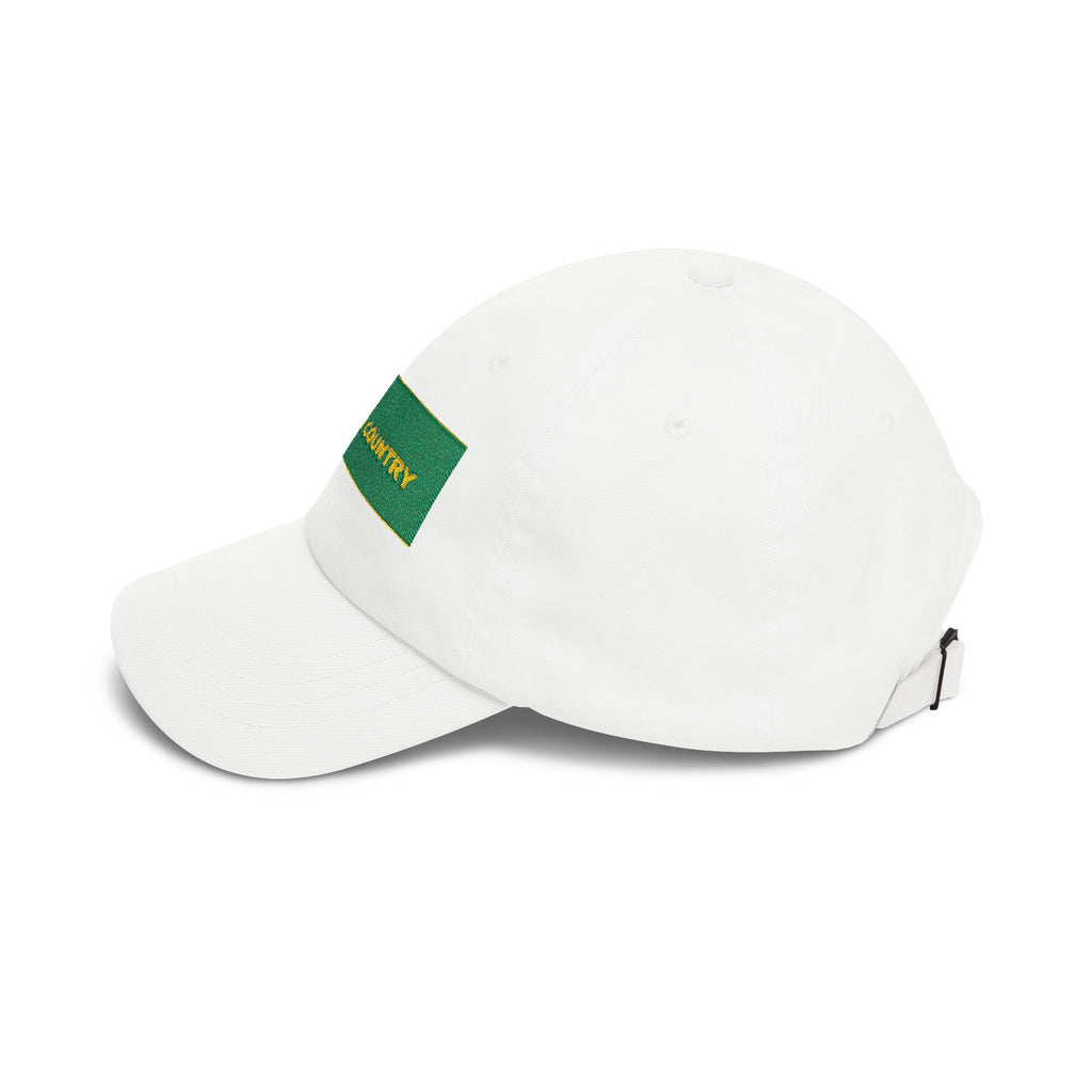FLYOVER COUNTRY — Patriot Dad Hat